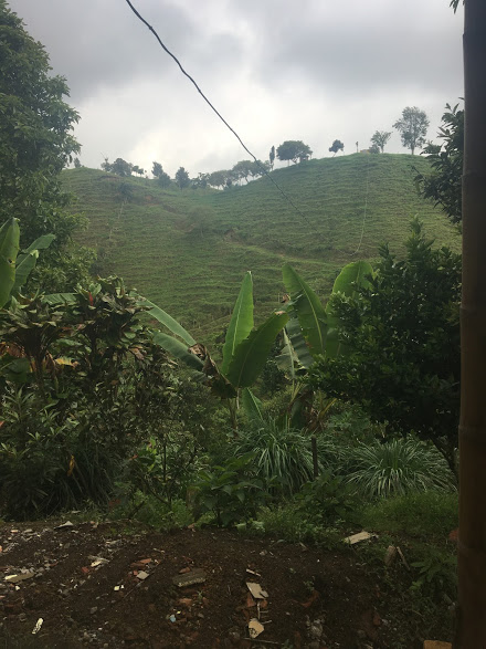 Bidea Filandia Finca